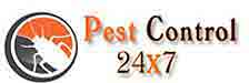 PEST CONTROL 24X7