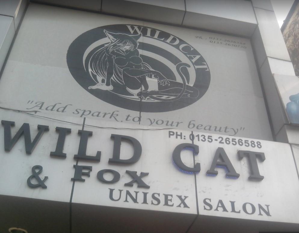 ssWild Cat & Fox Dehradun