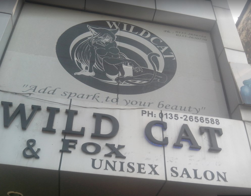 Wild Cat & Fox Dehradun