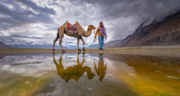 Nubra Valley Taxi