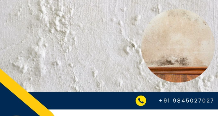 Water Seepage Waterproofing Services in Bangalore