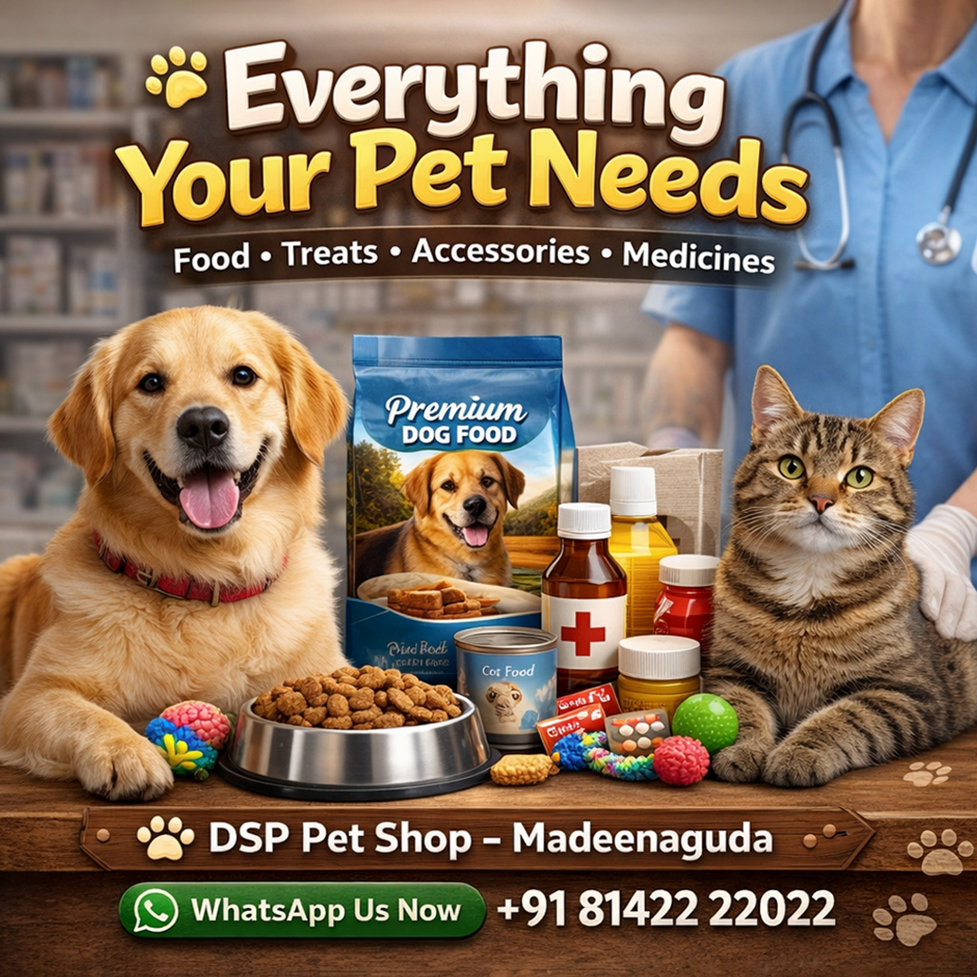 DSP PET SHOP  VETERINARY MEDICAL HALL