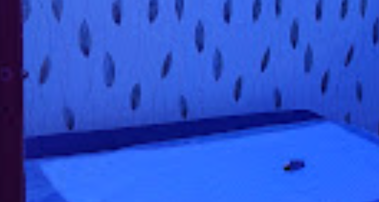 The Chill Out Spa-Best Spa in Dehradun