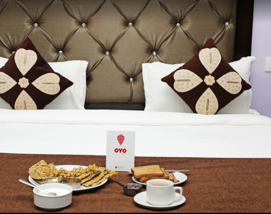  Hotel Vishla Palace 