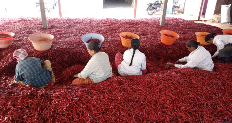 Sunanda Foods and Spices