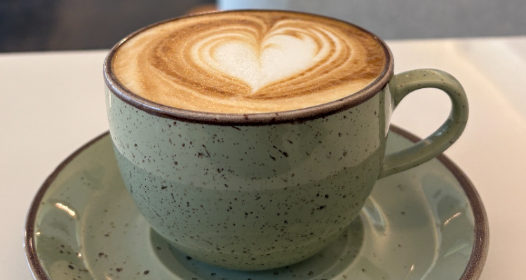 Torino Social  Best Aesthetic Cafe in Vadodara for Food Coffee and Late Night Hangouts