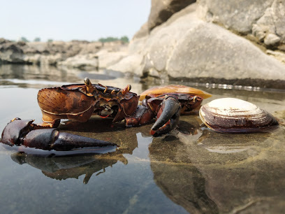 RSC PRODUCTION HOUSE || RAHUL SINGH PHOTOGRAPHY - Madhya Pradesh