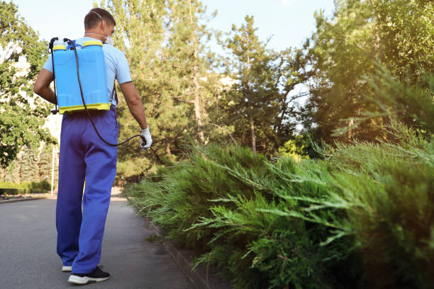 HOPC SERVICES PRIVATE LIMITED