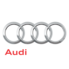 Audi Goa
