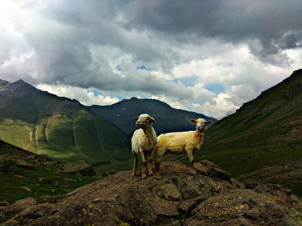 Saints Tours and Travels | Best Tour Operator in Srinagar