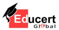 Educert Global - Digital Marketing Institute in Lucknow