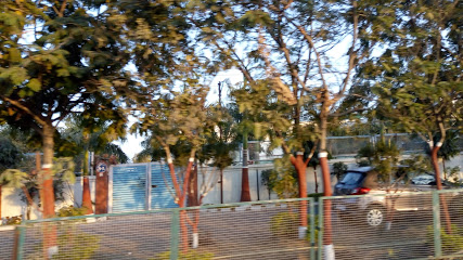 IPCA Laboratories Pvt. Ltd. - Ratlam