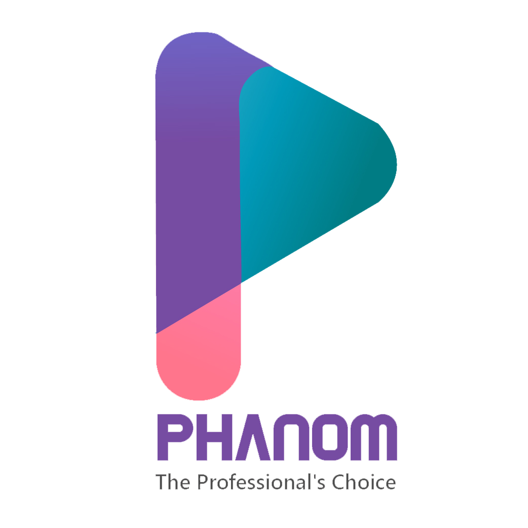 Develop Your Business Digitally with Phanom Professionals