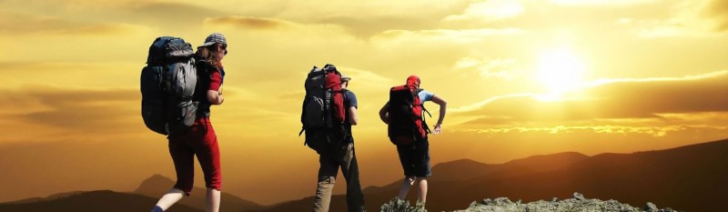 Vansh Tour and Travels