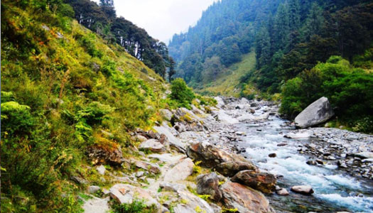 The Sky Village in kangra | luxury camp in kangra