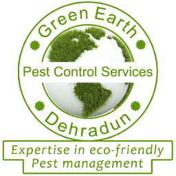 Green Earth Pest Control Services - Dehradun