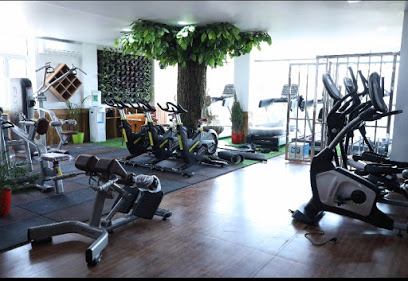 Toxin Out Fitness Club - Roorkee