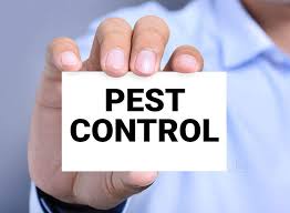Shatabdi Pest Control and Sanitization - Ratlam (MP)
