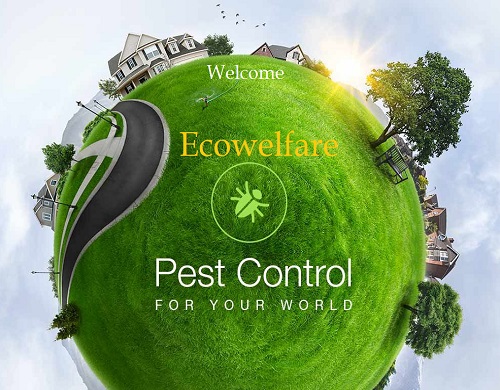 Eco Welfare Pest Control 
