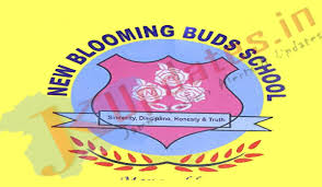 Blooming Buds High School
