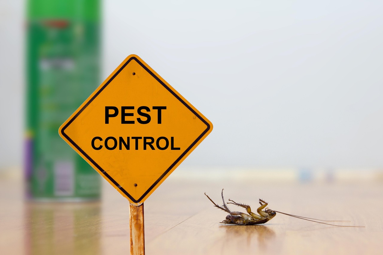 Pest Control Services Chennai