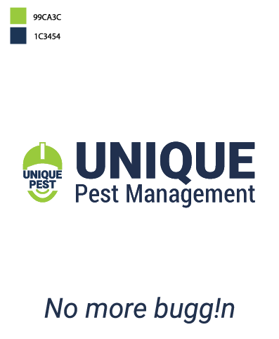 Cockroach control Services in Chennai