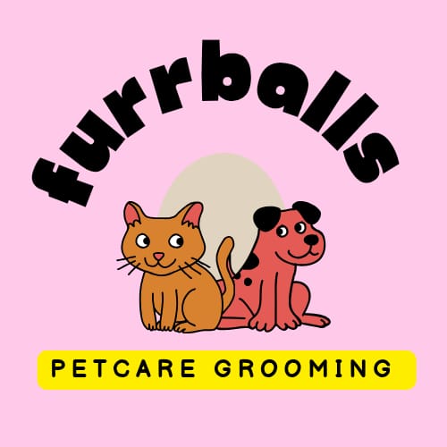 Furrballs Petcare - Grooming Services in Chandigarh tri-city