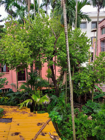 Open To Sky Architects