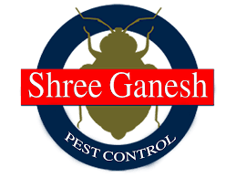Shree Ganesh Pest Control in Patna