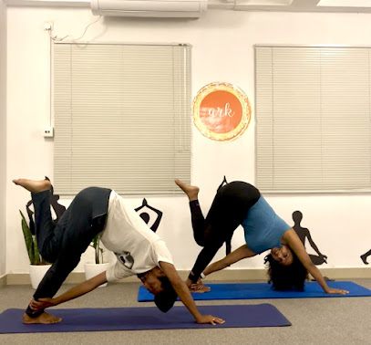 Ark Yoga and Wellness (online Yoga) - Guwahati