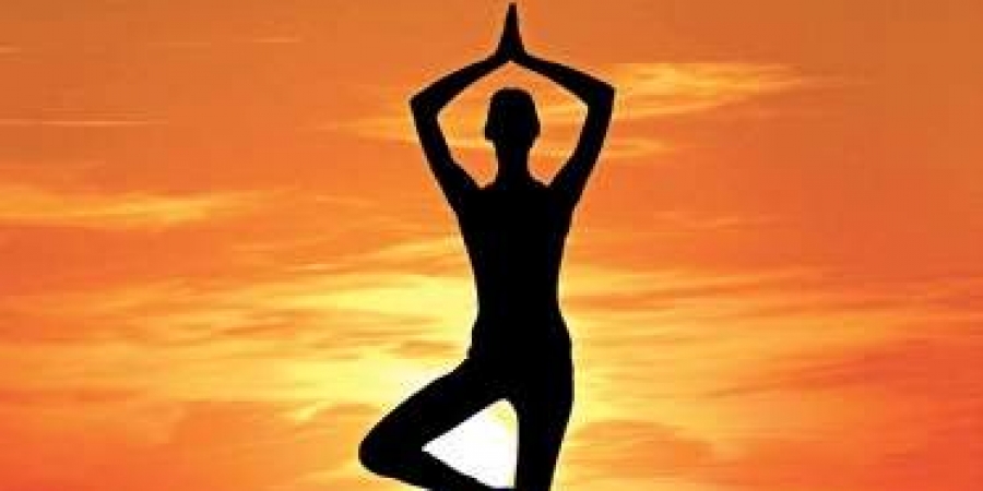 NICE Yoga And Naturopathy Bureau - Roorkee