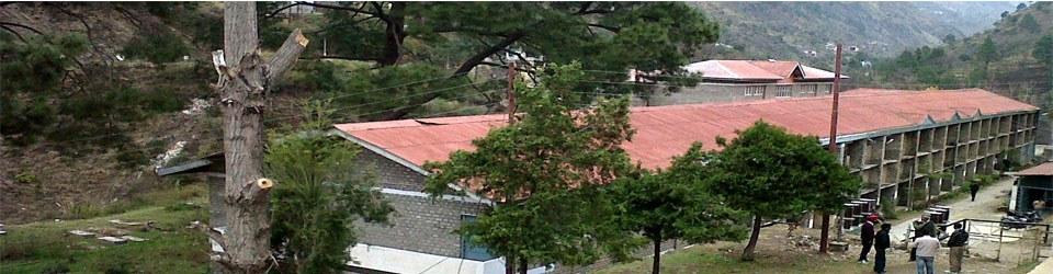 St.Stephen's Sr Sec School