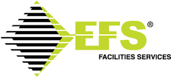 Electrical Engineer For EFS Facilities Services (india) Pvt. Ltd.