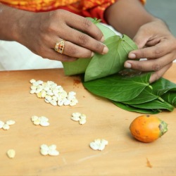 Sri Adhishankara Astrology Services - Chennai