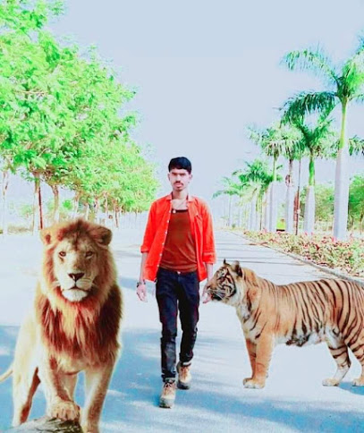 Deepak S Shah - Indore