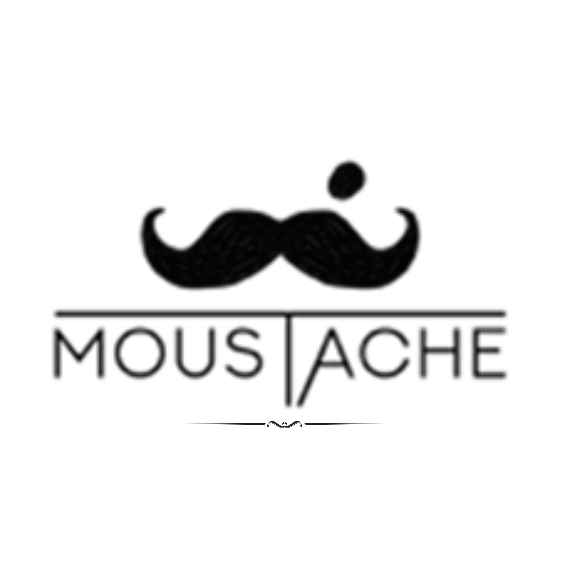 Moustache Pushkar
