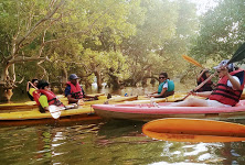 Goa Kayaking