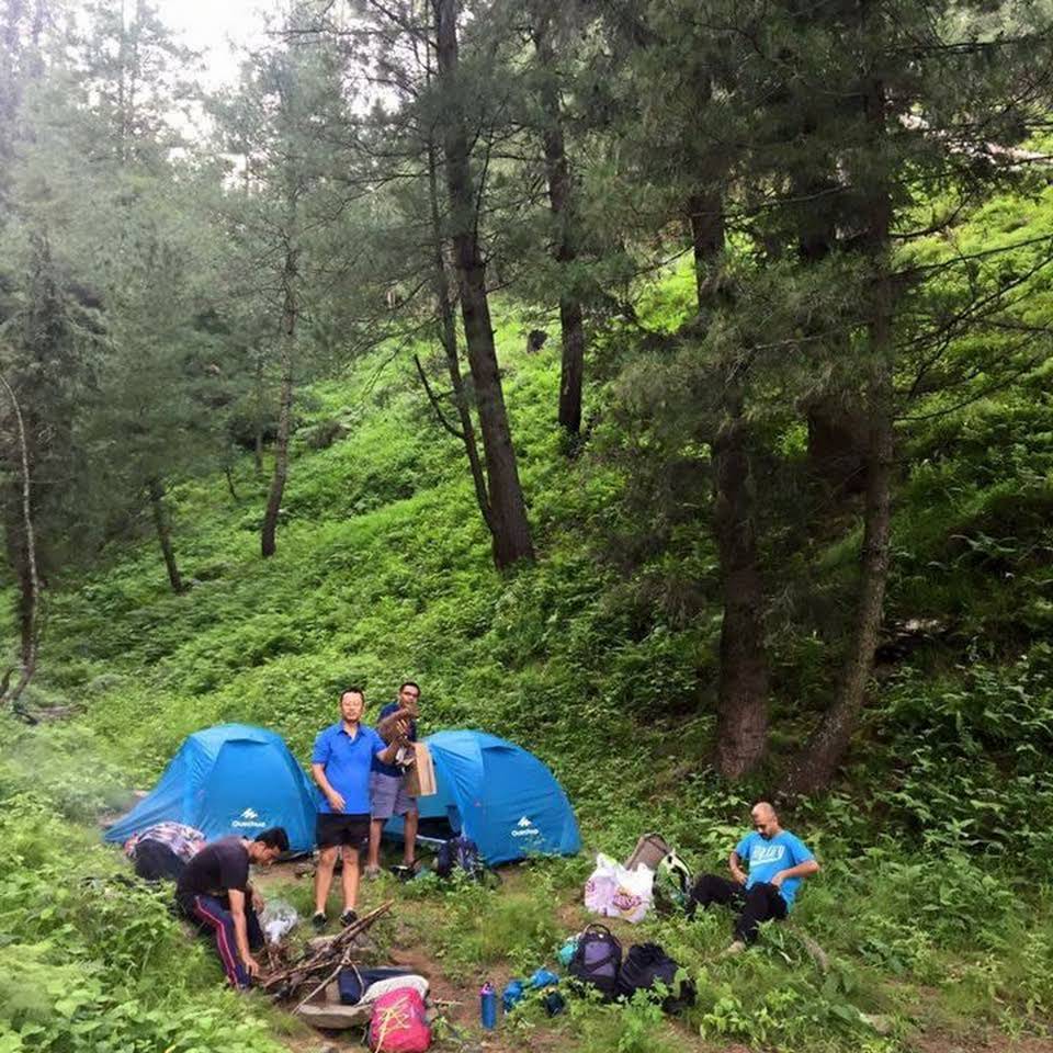 Wild Himalaya Glamping Camp | best luxury camp in narkanda