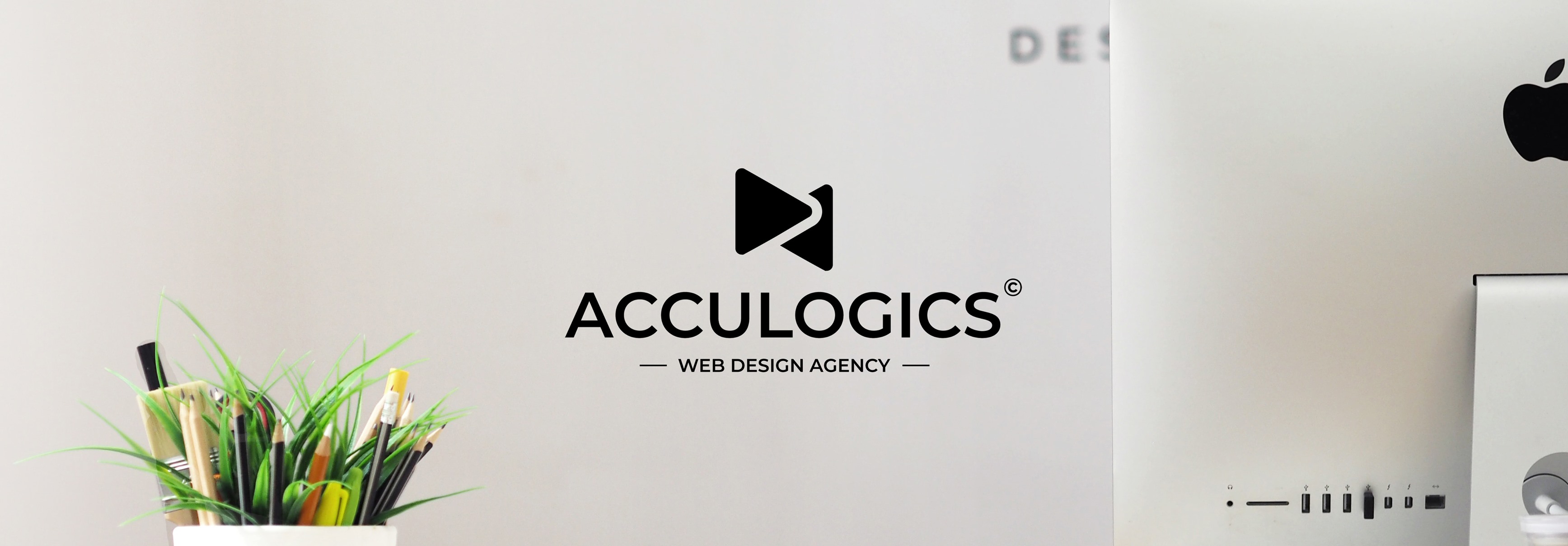 Acculogics Softwares nainital