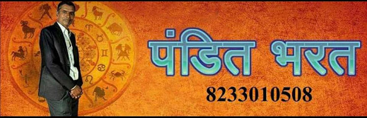Best Astrologer Pandit Bharat in Jaipur