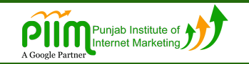 PIIM (Punjab Institute of Internet Marketing)