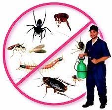 Pesting control and killer services- Sri Sitarama collection