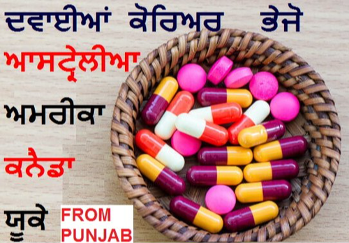 Medicine Courier Ludhiana to Spain Germany UK France
