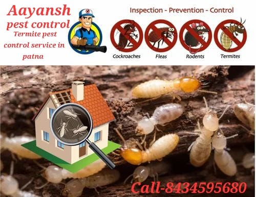 Aayansh pest control -Termite pest control service in patna