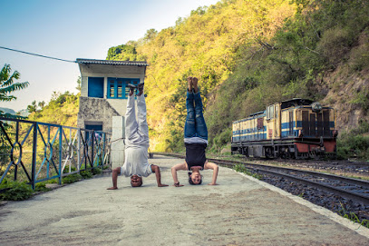 Yog Cafe - Chandigarh