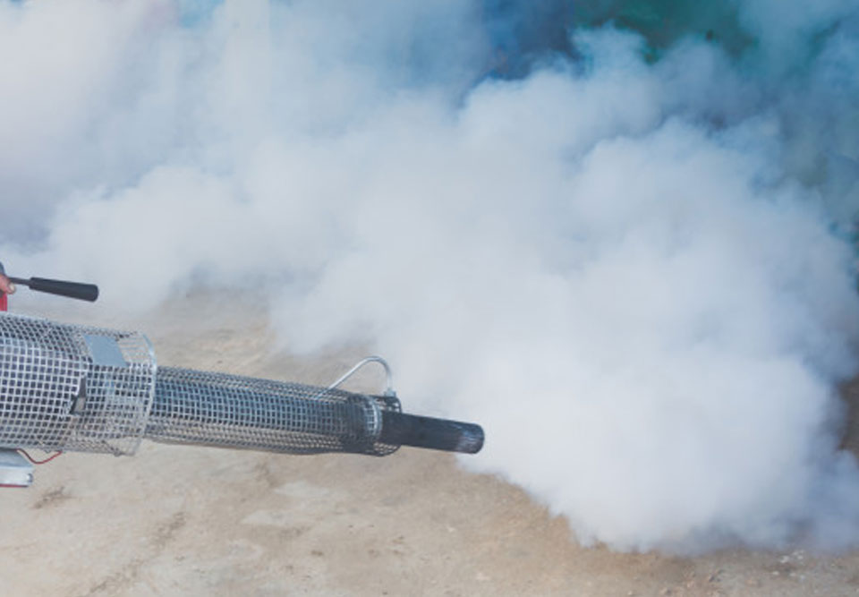 GUJARAT PEST CONTROL SERVICES