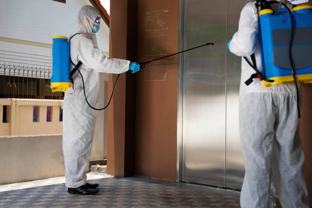 President Pest Control