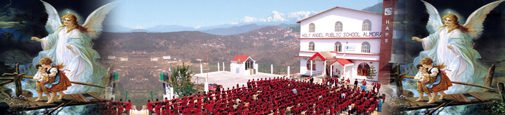 Holy Angel Public School