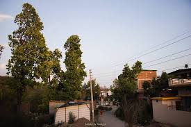 Queen's Hostel