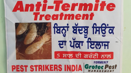 Pest Strikers India - Pest Control services in Punjab (Patiala)